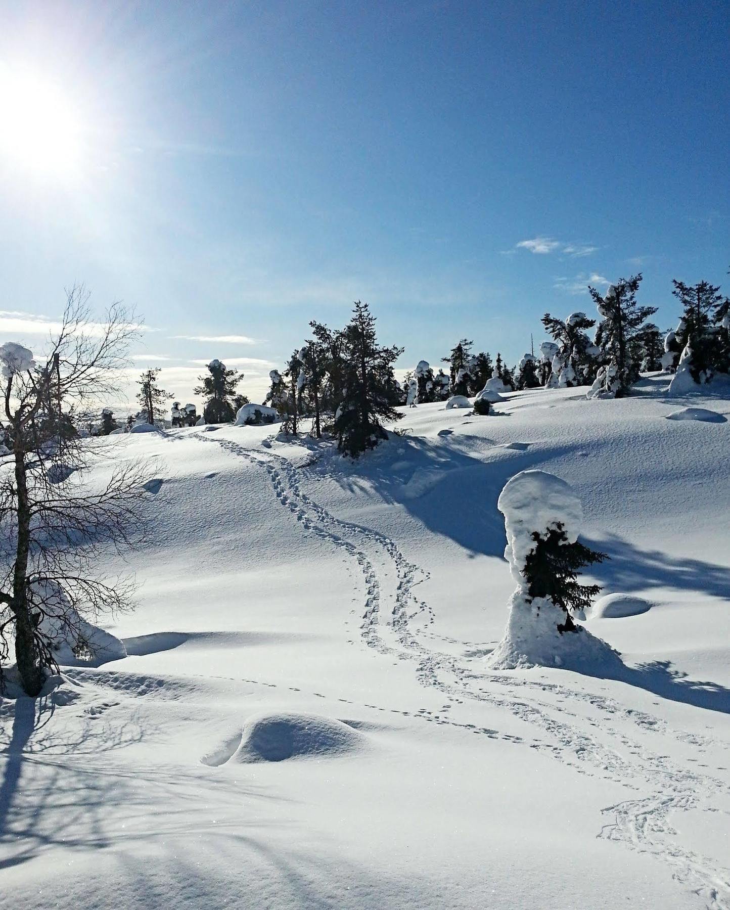 Villa Seita Moekki, Aekaeslompolo Esterno foto